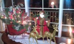 Vickerman Christmas Giant Ornament (2 Pack) (29018) -Roman Ornaments Shop 103672md