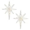 Vickerman Christmas Decoration (2 Pack) (21546)