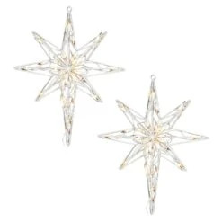 Vickerman Christmas Decoration (2 Pack) (21546)