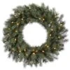 Vickerman Pre-Lit Artificial Christmas Wreath (21961)