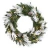 Vickerman Pre-Lit Artificial Christmas Wreath (22806)