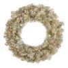 Vickerman Prelit Artificial Christmas Wreath (429112)