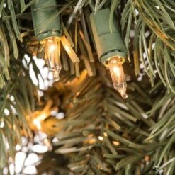 Vickerman Pre-lit Artificial Christmas Wreath (456019) -Roman Ornaments Shop 4560194md