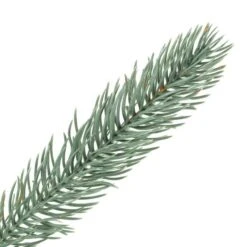 Vickerman Artificial Un-lit Christmas Wreath (456491) -Roman Ornaments Shop 4564913md