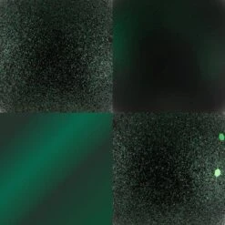 Vickerman Christmas Ornament (481073) -Roman Ornaments Shop 481073texmd