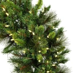 Vickerman Prelit Artificial Christmas Wreath (634349) -Roman Ornaments Shop 6342712md 1