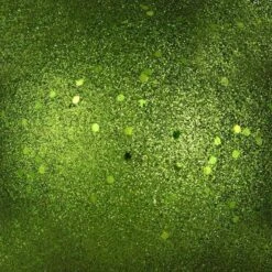 Vickerman Christmas Ornament (4 Pack) (660881) -Roman Ornaments Shop 660881texmd