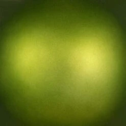 Vickerman Christmas Ornament (661079) -Roman Ornaments Shop 661079texmd