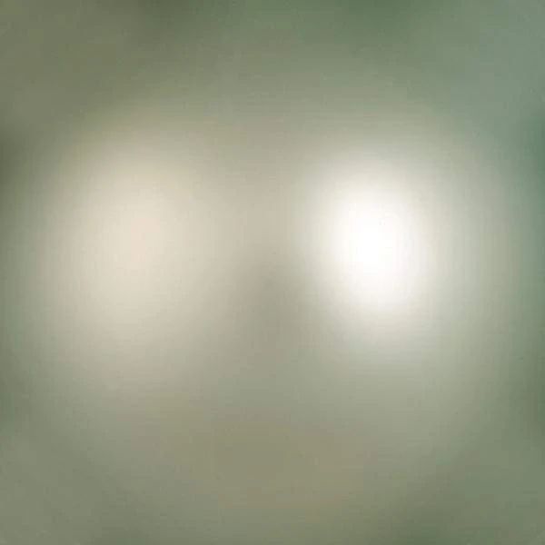 Vickerman Christmas Ornament (6 Pack) (661567) 3 Vickerman Christmas Ornament (6 Pack) (661567) - Image 3