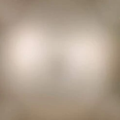 Vickerman Christmas Ornament (12 Pack) (662328) -Roman Ornaments Shop 662328texmd