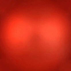 Vickerman Christmas Ornament (663028) -Roman Ornaments Shop 663073texmd 1