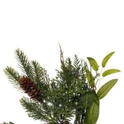 Vickerman Artificial Unlit Christmas Wreath (675854) -Roman Ornaments Shop 675854tipsmd