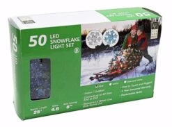 Vickerman Christmas Light String Set (68522) -Roman Ornaments Shop 68522Boxmd