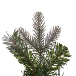 Vickerman Artificial Unlit Christmas Wreath (693001) -Roman Ornaments Shop 692943tipsmd 1