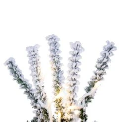 Vickerman Unlit Artificial Christmas Wreath (693452) -Roman Ornaments Shop 693452timd