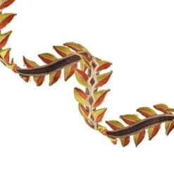 Vickerman Christmas Ribbon (713990) 6 Vickerman Christmas Ribbon (713990) -Roman Ornaments Shop 713990twirlmd