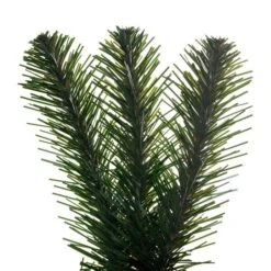 Vickerman Unlit Artificial Christmas Wreath (726426) -Roman Ornaments Shop 726426branchmd