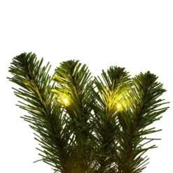 Vickerman Pre-lit Artificial Christmas Wreath (726433) -Roman Ornaments Shop 726433addmd