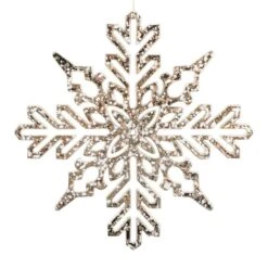 Vickerman Christmas Ornament (2 Pack) (731567)