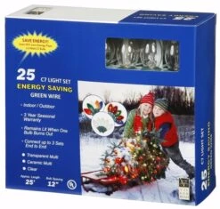 Vickerman Christmas Light String Set (209622) -Roman Ornaments Shop 76101Boxedmd